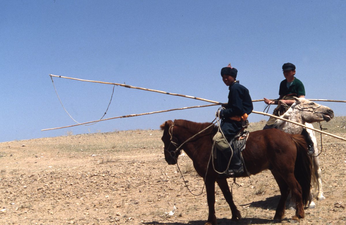 Mongolei: Fahr in die unendliche Weite der Steppe und dann der Gobi. Ziel sind die Fluorit Minen der Gegend vo