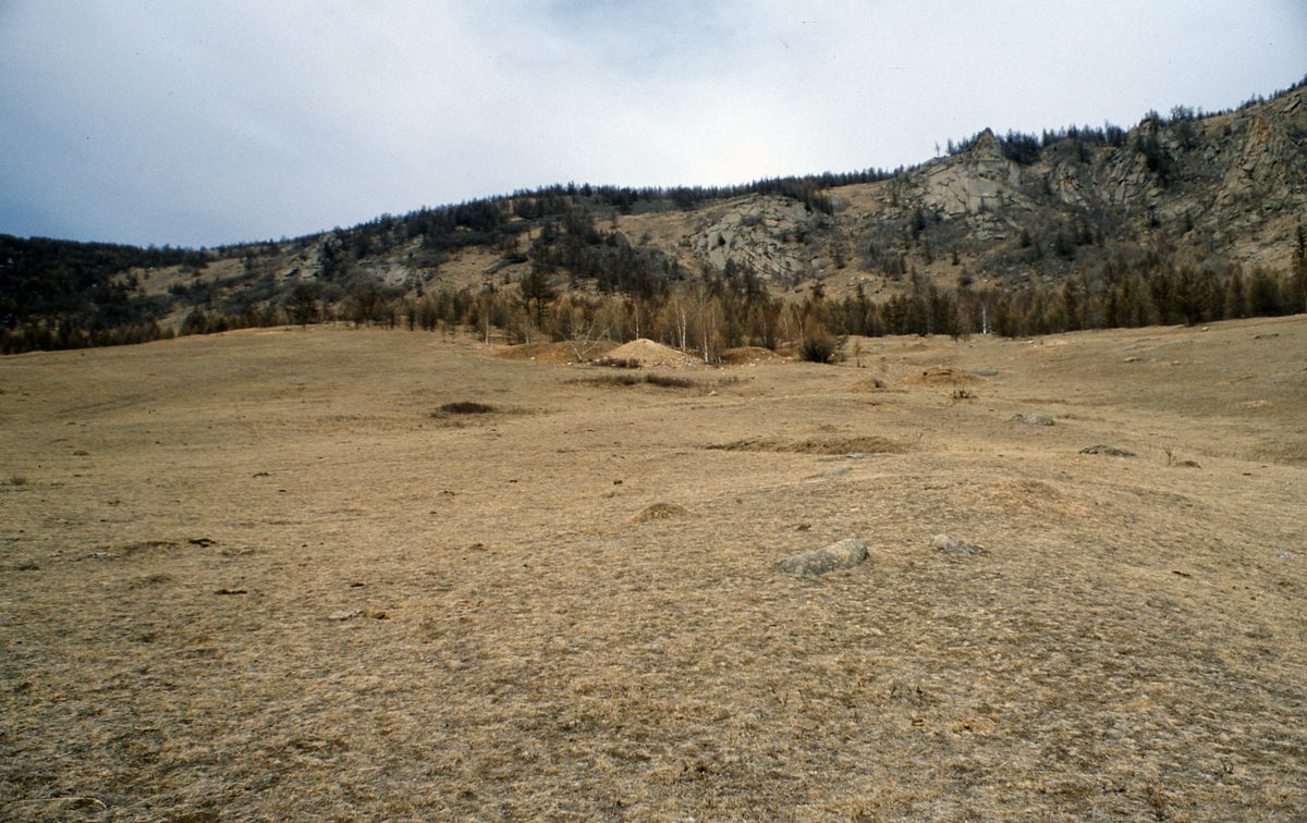 Mongolei: Erster Ausflug in die Umgebung von Ulan-Bator