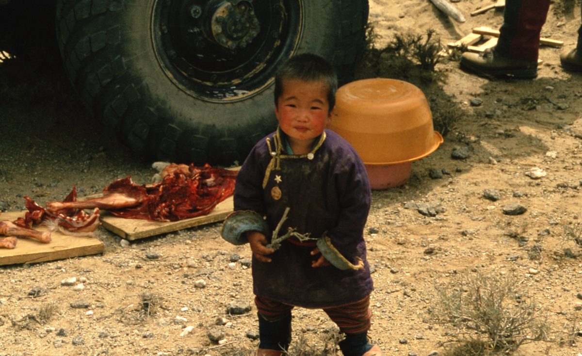 Mongolei: Das nächste Ziel tief in der Gobi ist Han-Bogdo mit seinen gigantischen Elpidit Kristallen und der T