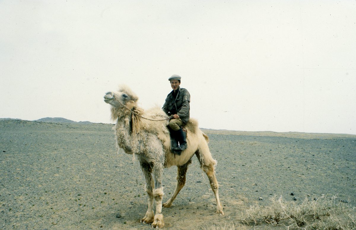 Mongolei: Das nächste Ziel tief in der Gobi ist Han-Bogdo mit seinen gigantischen Elpidit Kristallen und der T