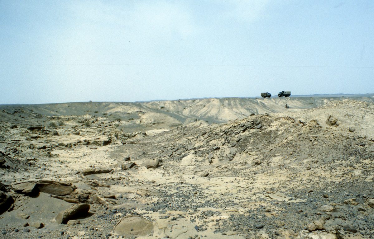 Mongolei: Das nächste Ziel tief in der Gobi ist Han-Bogdo mit seinen gigantischen Elpidit Kristallen und der T
