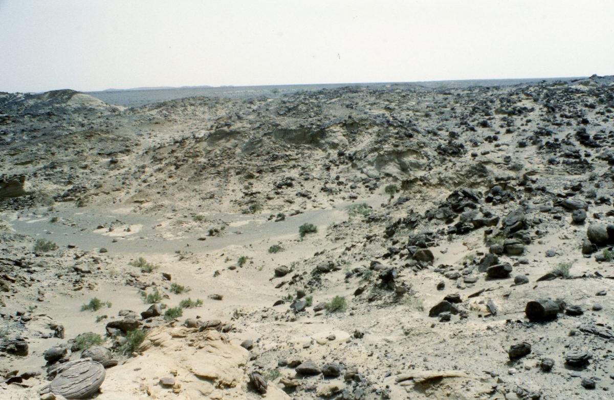 Mongolei: Das nächste Ziel tief in der Gobi ist Han-Bogdo mit seinen gigantischen Elpidit Kristallen und der T