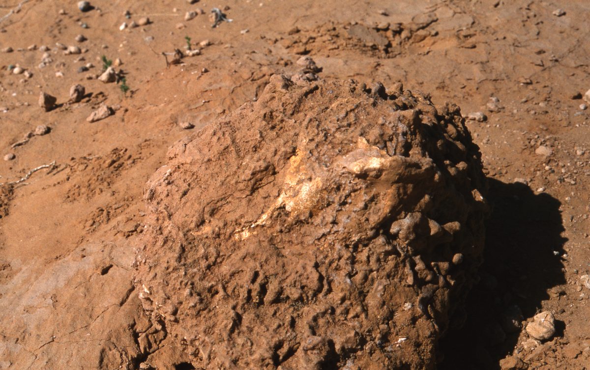 Mongolei: Bain-Dzhagh, die Flammenden Klippen, eine gigantische Fundstelle von Dinosaurier Knochen mitten in d