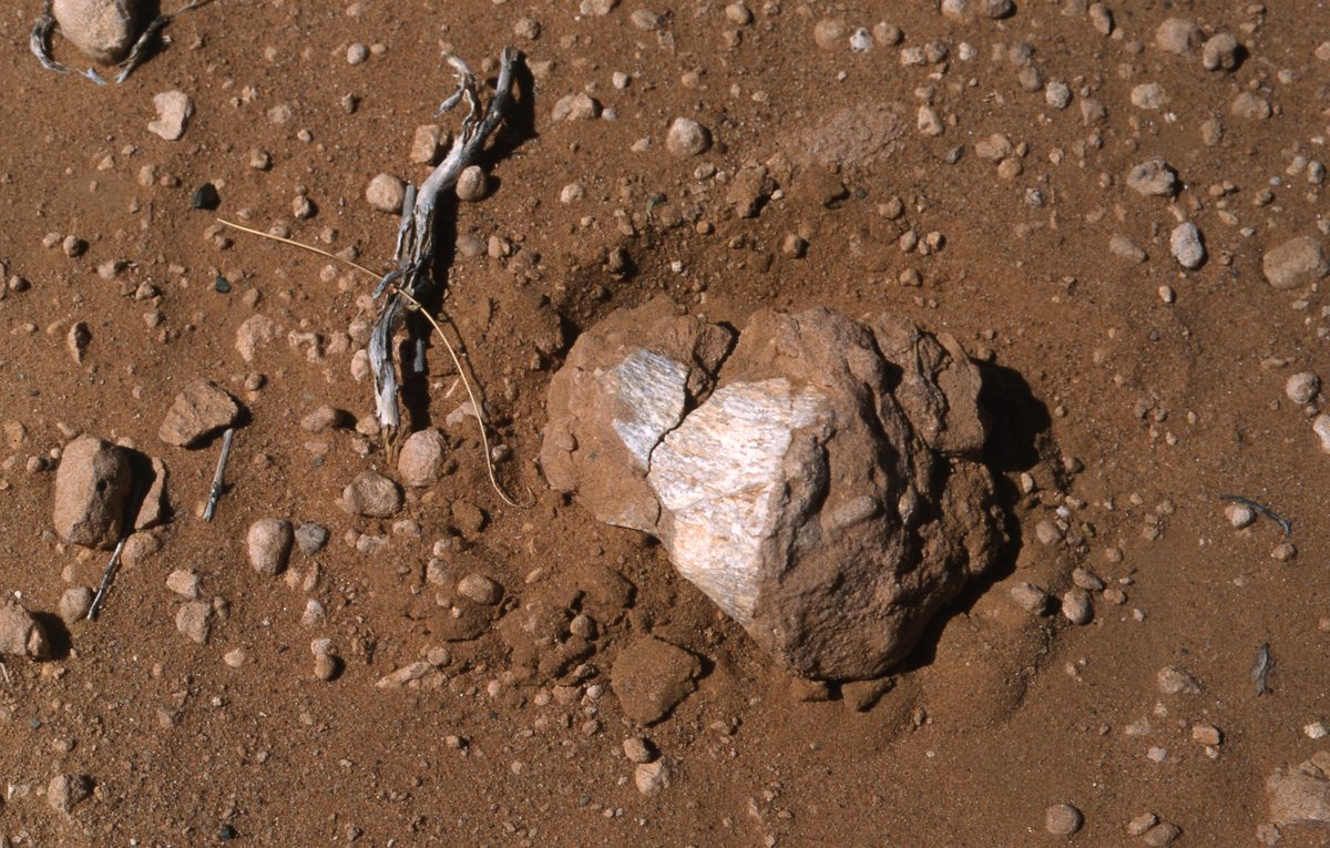 Mongolei: Bain-Dzhagh, die Flammenden Klippen, eine gigantische Fundstelle von Dinosaurier Knochen mitten in d