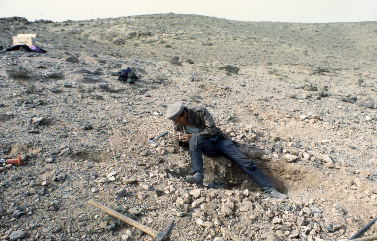 Mongolei: Das nächste Ziel tief in der Gobi ist Han-Bogdo mit seinen gigantischen Elpidit Kristallen und der T