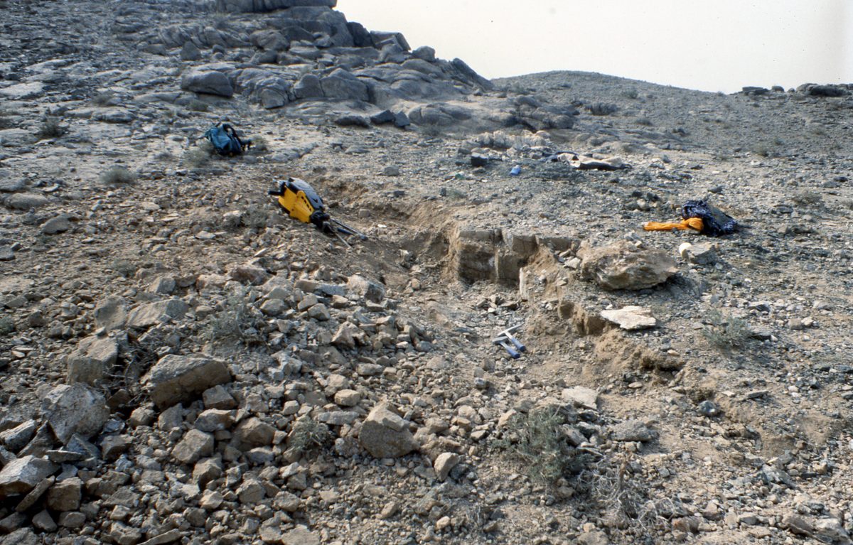Mongolei: Das nächste Ziel tief in der Gobi ist Han-Bogdo mit seinen gigantischen Elpidit Kristallen und der T