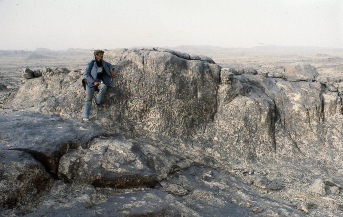 Mongolei: Das nächste Ziel tief in der Gobi ist Han-Bogdo mit seinen gigantischen Elpidit Kristallen und der T
