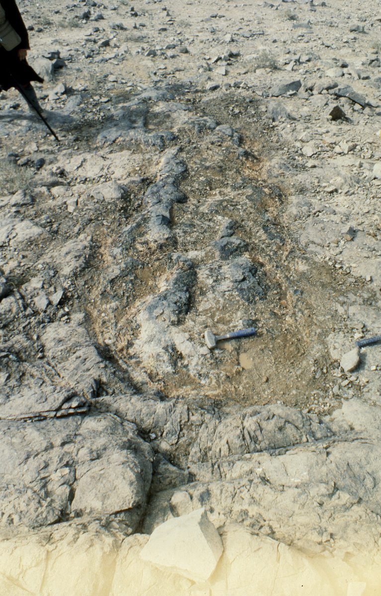 Mongolei: Das nächste Ziel tief in der Gobi ist Han-Bogdo mit seinen gigantischen Elpidit Kristallen und der T