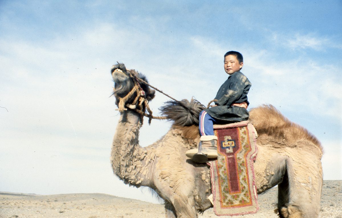 Mongolei: Rückweg aus der Gobi mit reichen Funden nach Ulan Bator