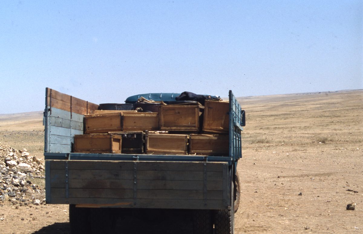 Mongolei: Rückweg aus der Gobi mit reichen Funden nach Ulan Bator