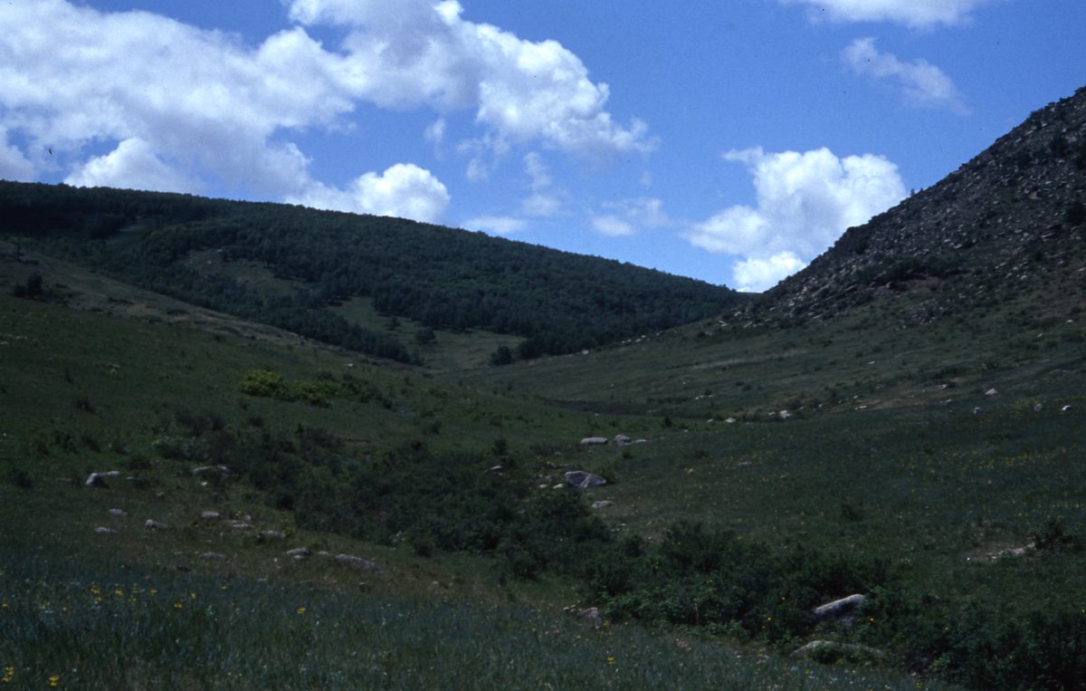 Mongolei: Die Umgebung von Ulan Bator jetzt grün und im Juli