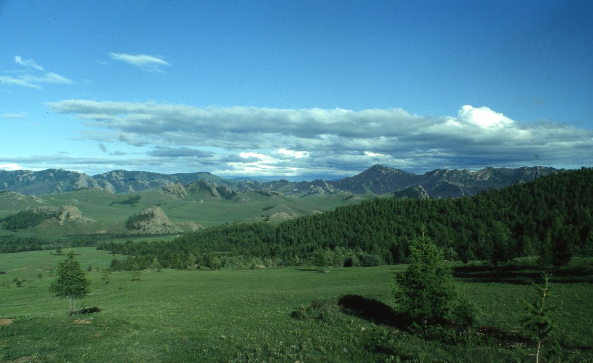 Mongolei: Die Umgebung von Ulan Bator jetzt grün und im Juli