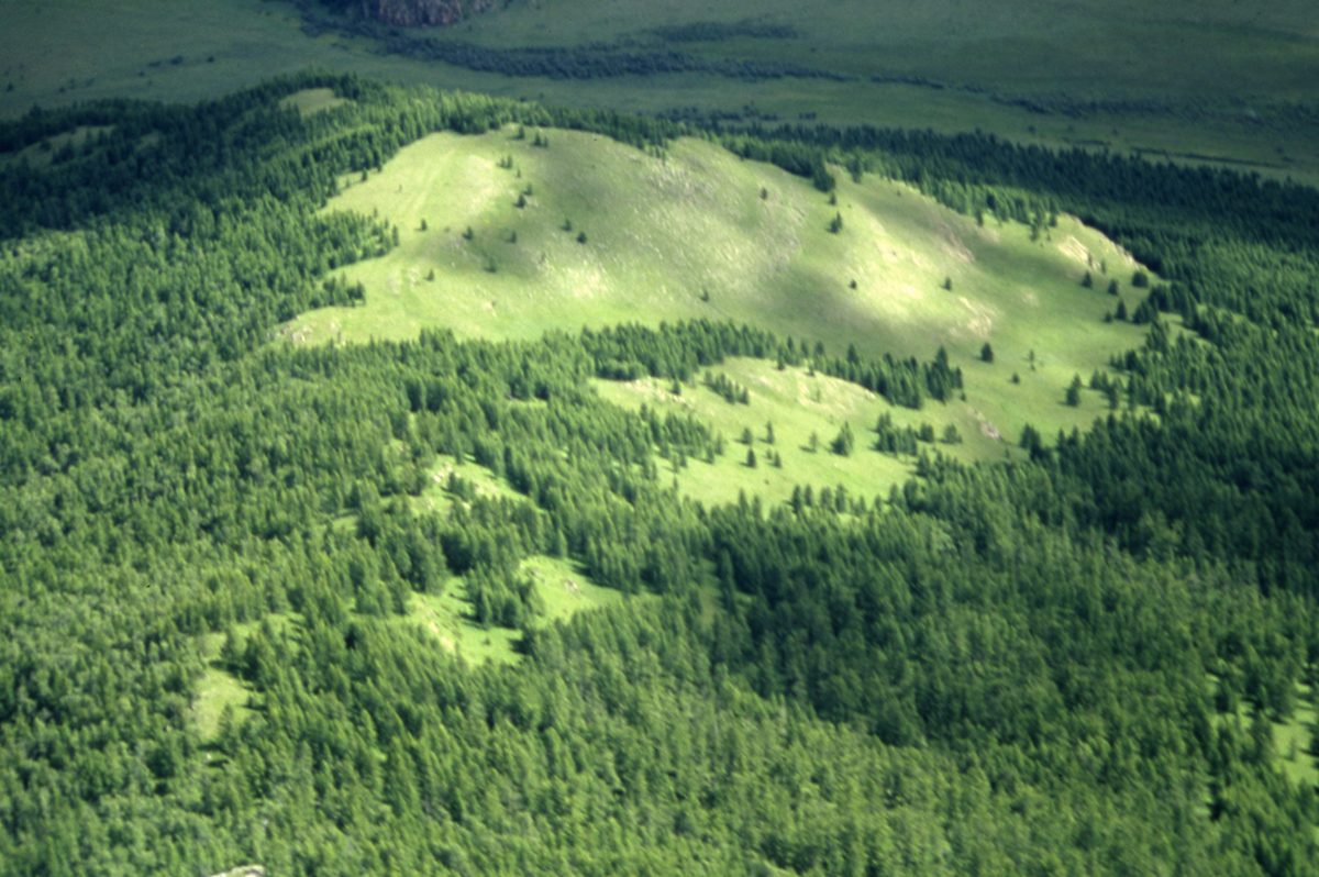Mongolei: Helikoptertour in den nördlichen Hinti-Aimak. Hier wollten uns die Mongolen ein Diamantvorkommen zei