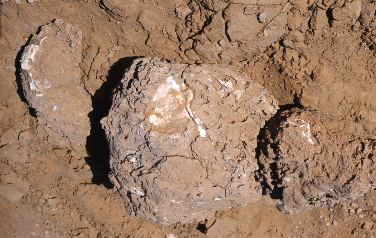 Mongolei: Bain-Dzhagh, die Flammenden Klippen, eine gigantische Fundstelle von Dinosaurier Knochen mitten in d