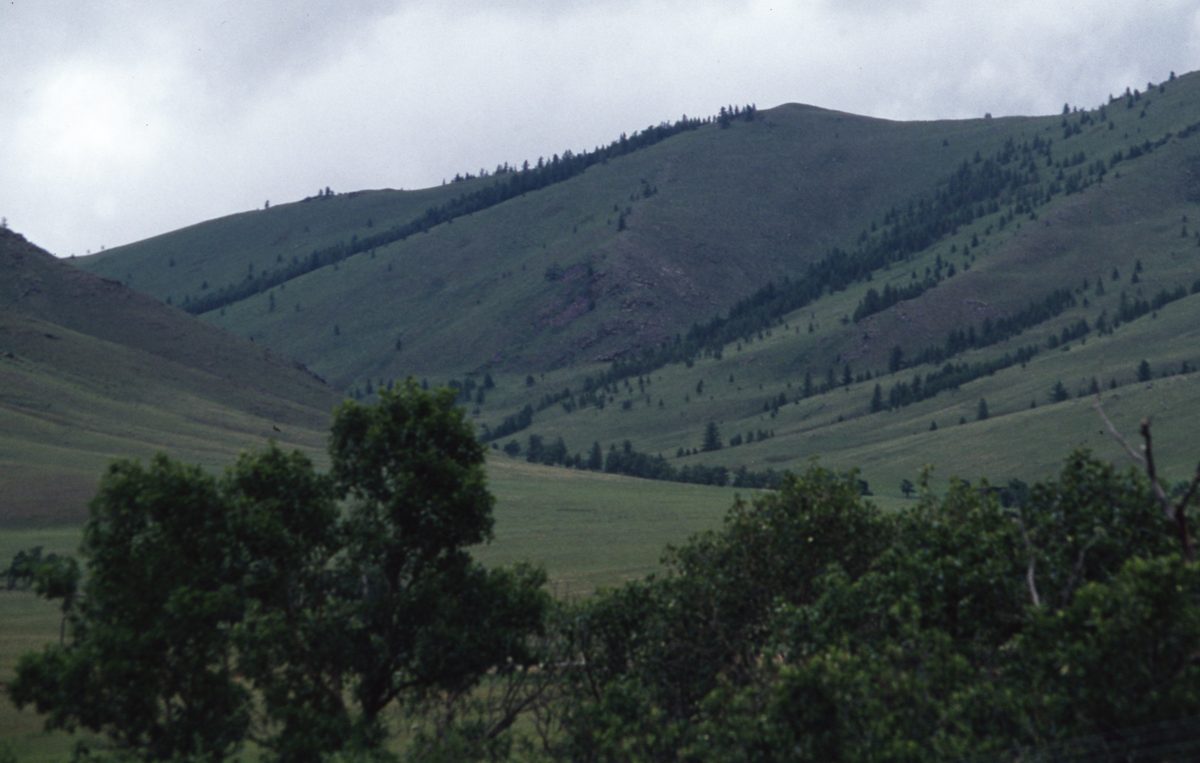 Mongolei: Die Umgebung von Ulan Bator jetzt grün und im Juli