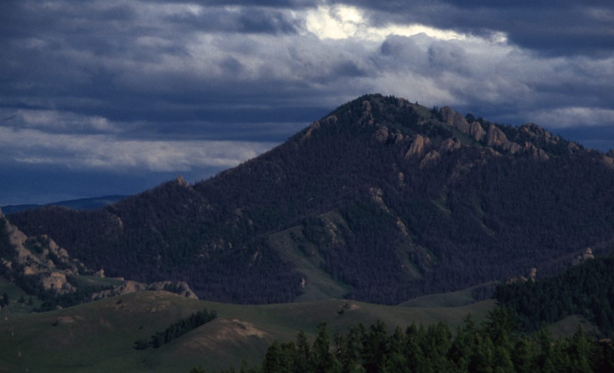 Mongolei: Die Umgebung von Ulan Bator jetzt grün und im Juli